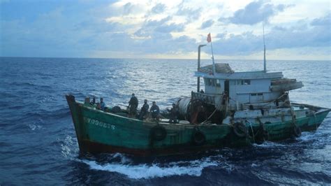 Nelayan vietnam  Harga ekspor cumi-cumi ukuran susun 2 sebesar 135